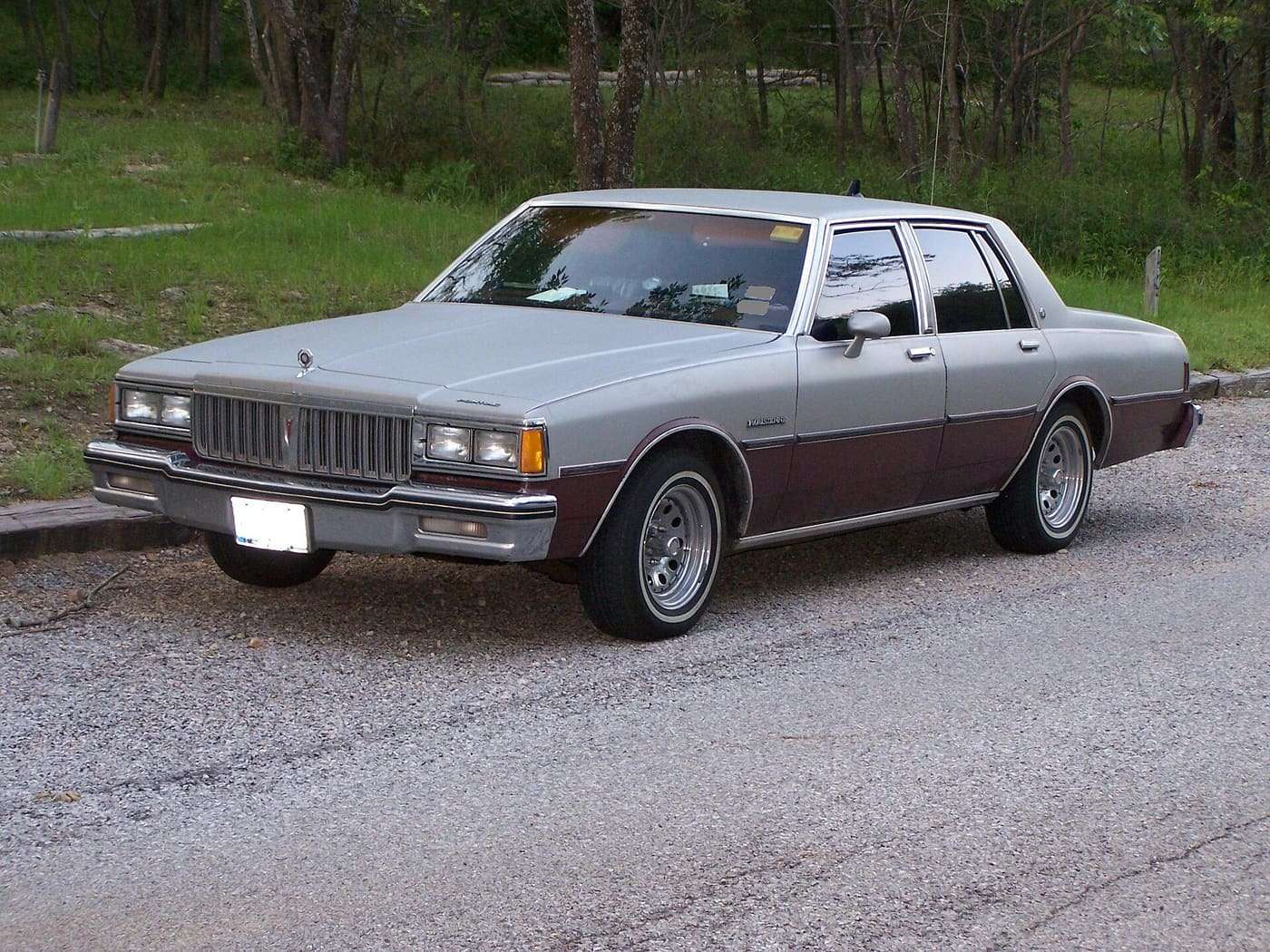 A picture of a 1983 Pontiac Parisienne taken at Eisenhower State Park in Denison, Texas.