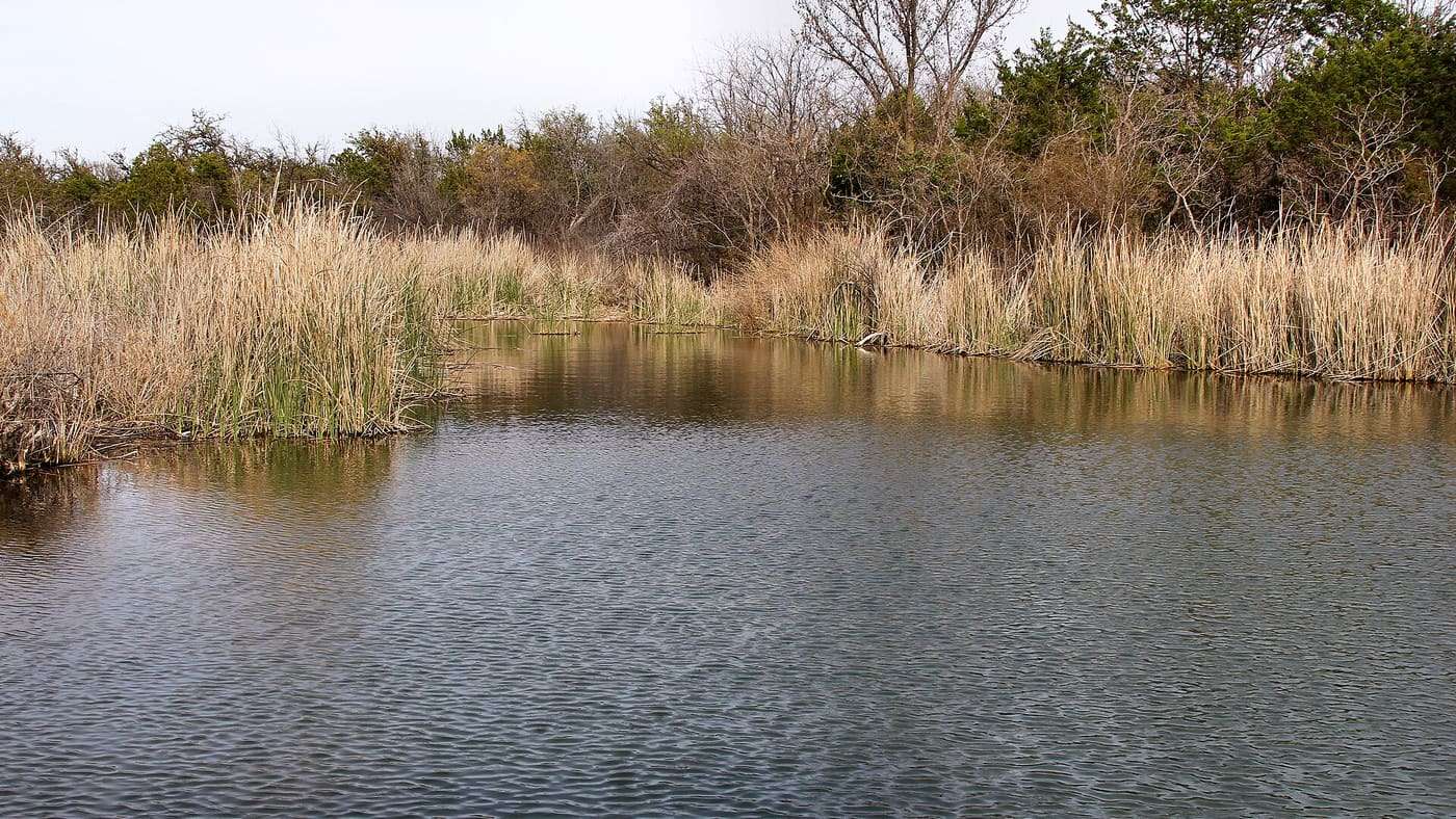 Buffalo Wallow, a spring-fed pond in Abilene State Park , Texas, United States is a popular spot for fishing, birding, and wildlife viewing.