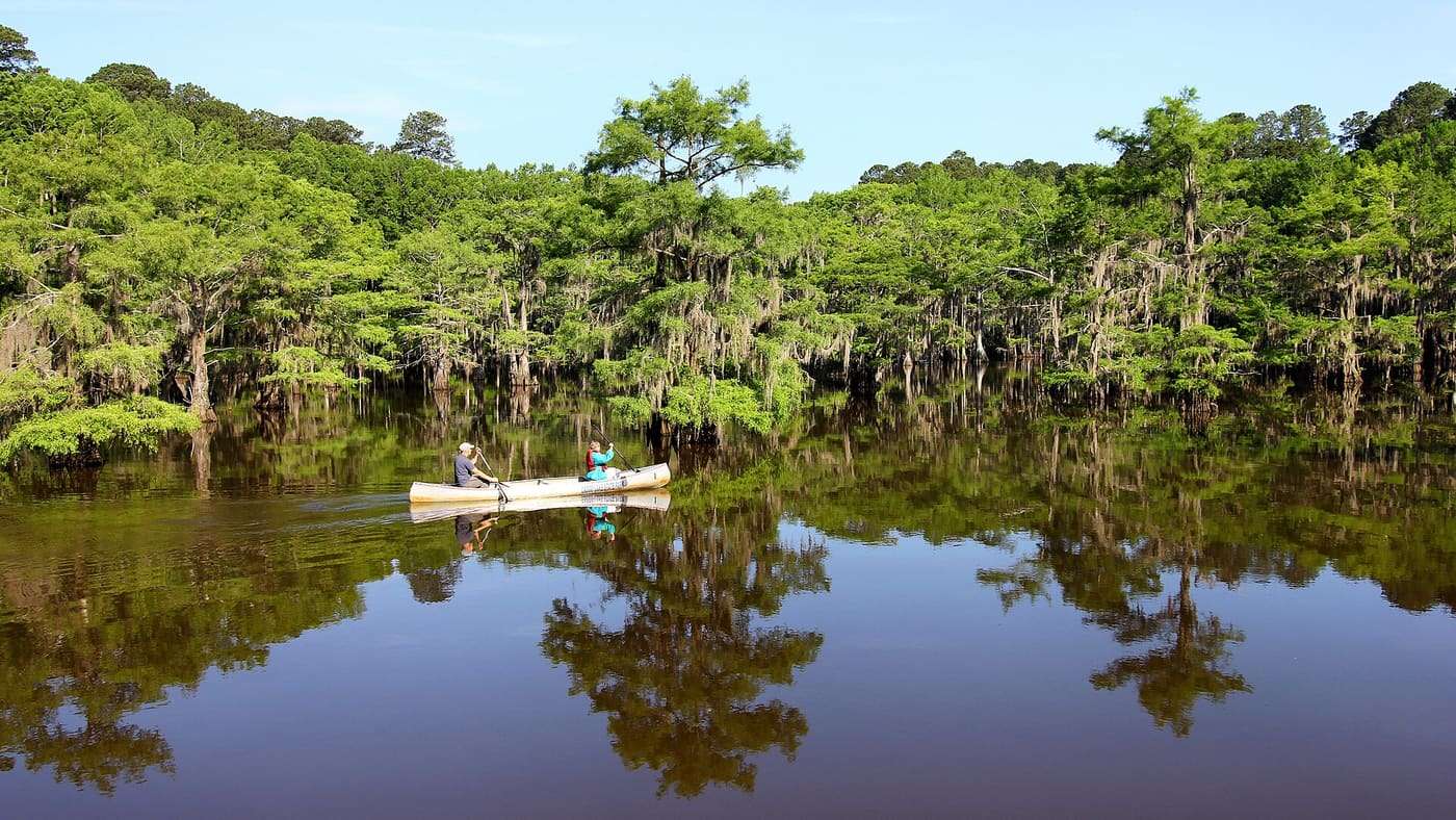 Canoeing on Saw Mill Pond in Caddo Lake State Park , in Harrison County, Texas, United States.