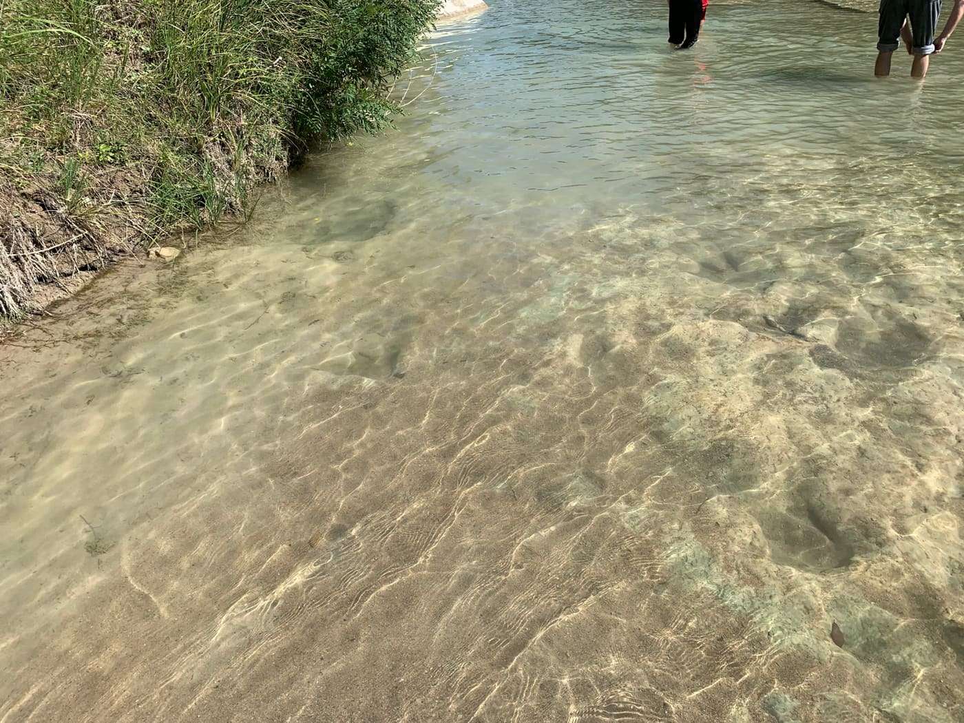 dinosaur footprints in river Dinosaur monument