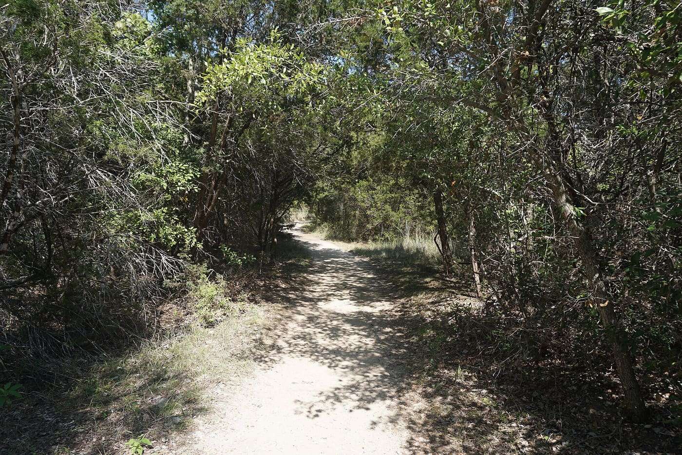 The Paluxy River Nature Trail at Dinosaur Valley State Park in Somervell County , Texas ( United States ).