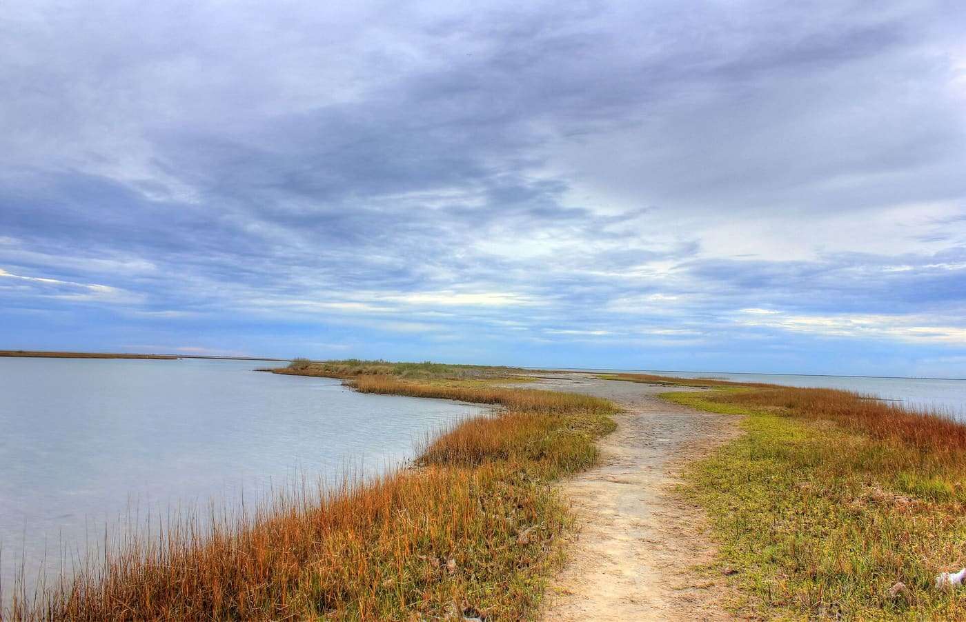 Galveston Island State Park — a 2,013 acre state park on Galveston Island , Gulf Coast of Texas. Shoreline wetland plants on one of the inlet bays of Galveston