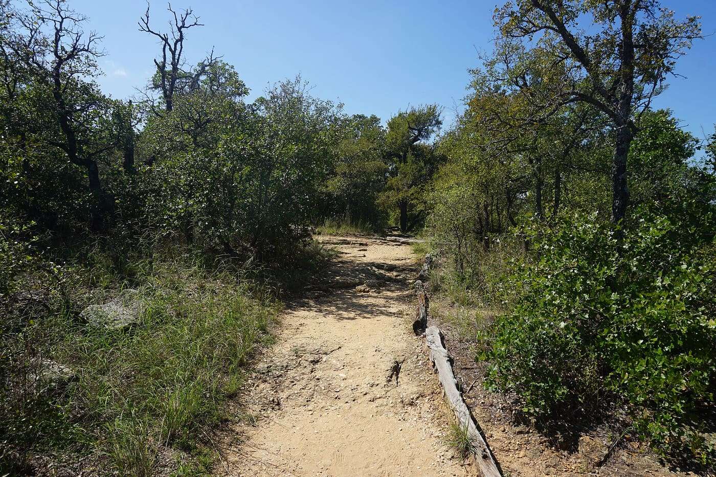 The Penitentiary Hollow trail at Lake Mineral Wells State Park & Trailway in Parker County , Texas ( United States ).