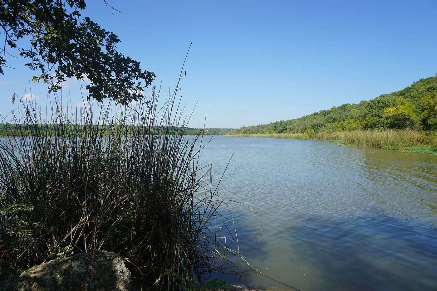 Lake Mineral Wells at Lake Mineral Wells State Park & Trailway in Parker County , Texas ( United States ).