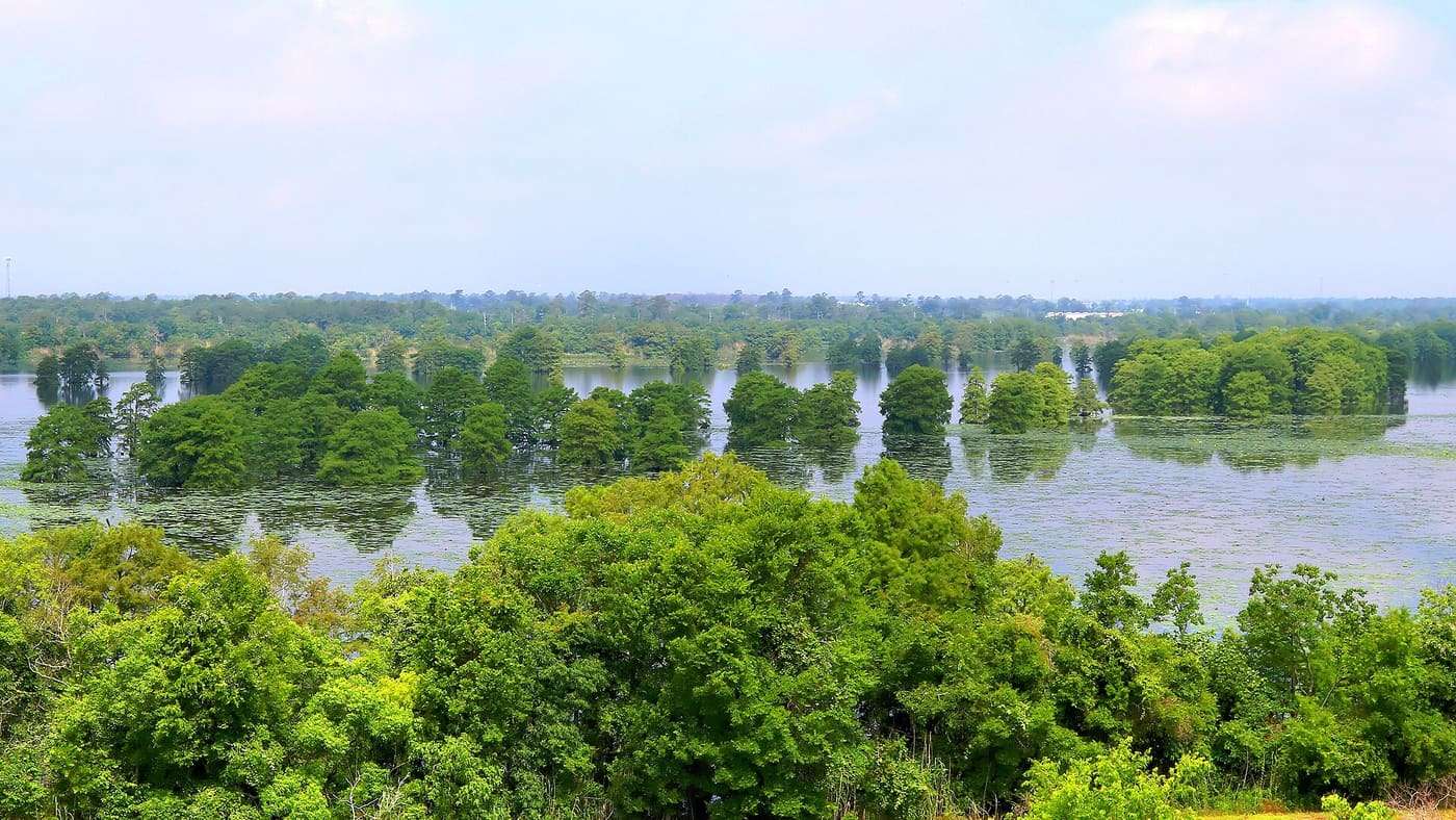 A view of Sheldon Lake from the John Jacob Observation Tower in Sheldon Lake State Park and Environmental Learning Center in Harris County, Texas, United States