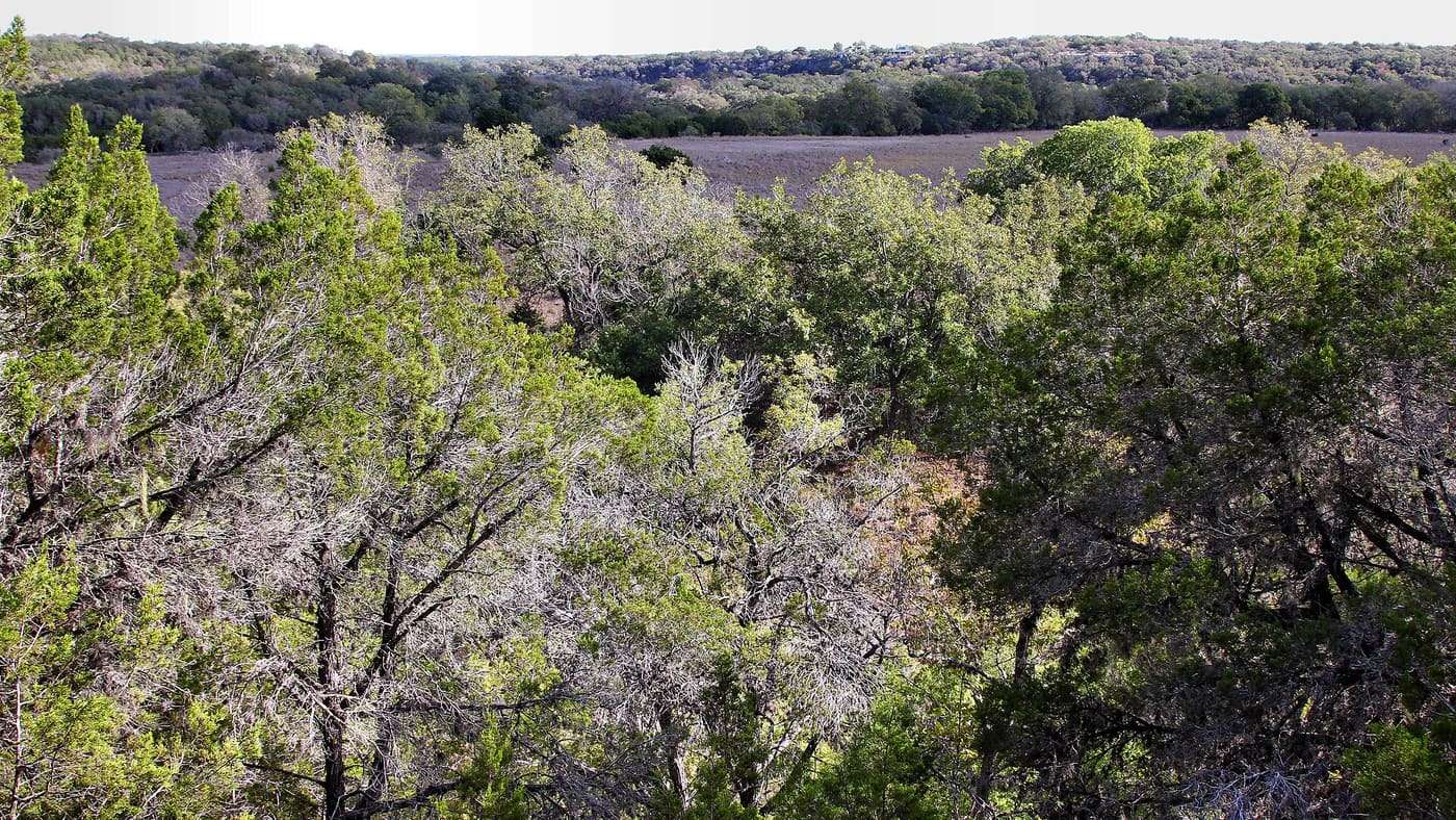 Looking across the Guadalupe River into Guadalupe River State Park from Honey Creek State Natural Area in Comal County, Texas, United States.