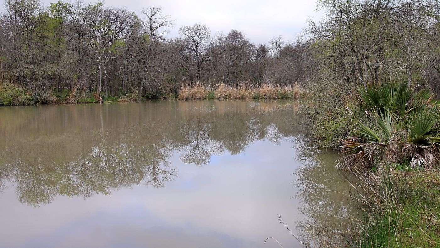 The western portion of Oxbow Lake in Palmetto State Park in Gonzales County, Texas, United States.