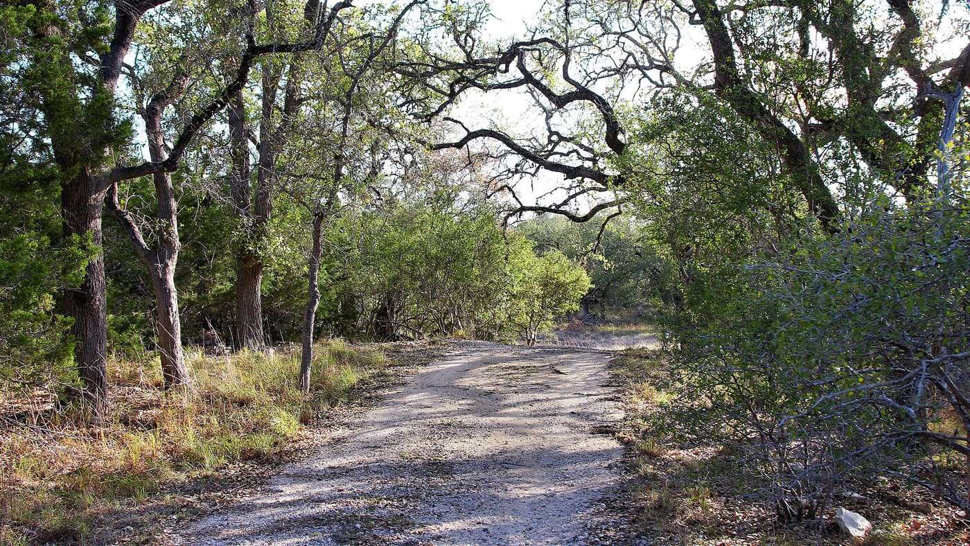 On the service road in Honey Creek State Natural Area in Comal County, Texas, United States. The road connects to adjacent Guadalupe River State Park.