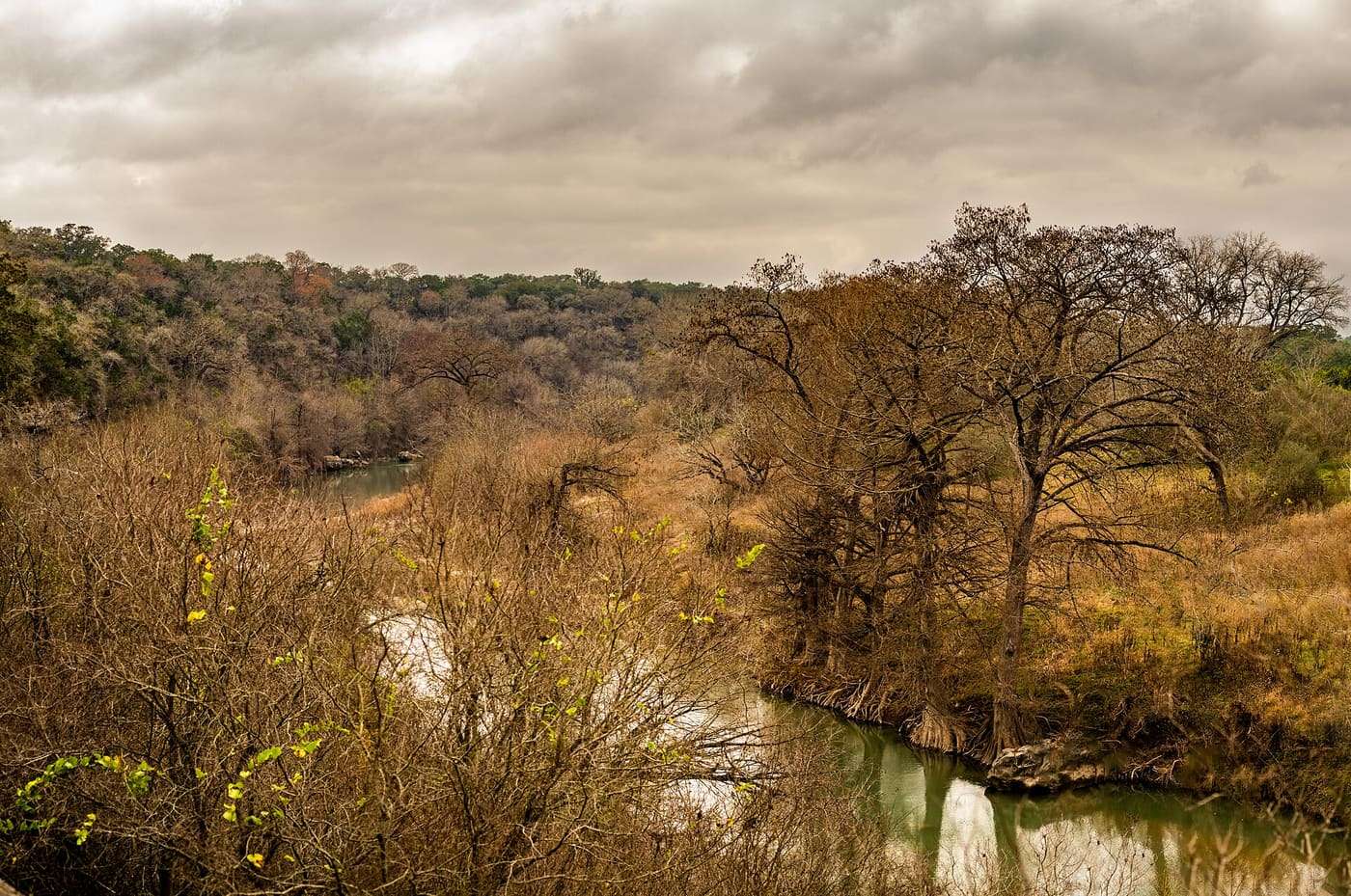 Guadalupe River in Winter. This is from inside Guadalupe River State Park.