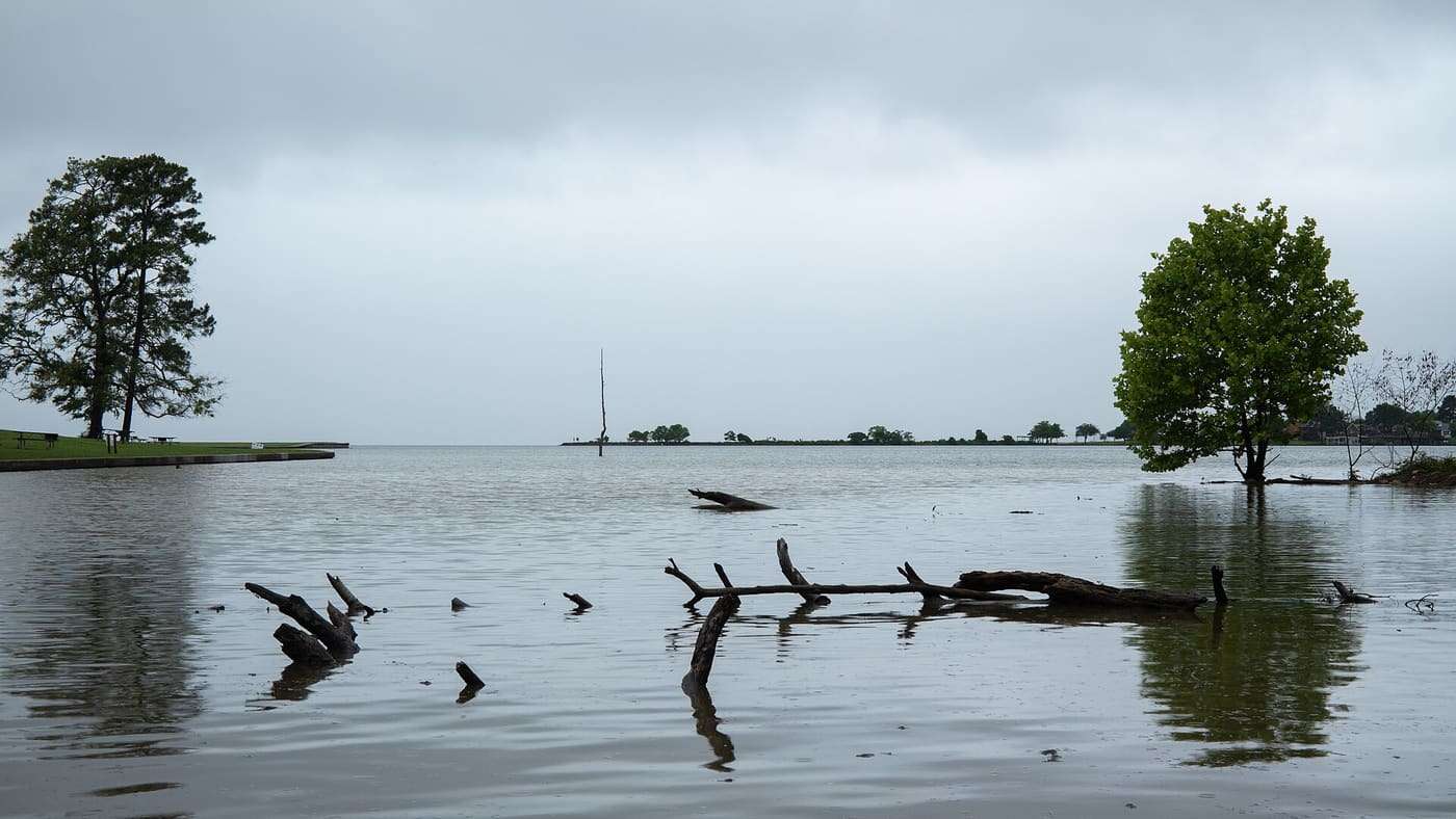 Lake Livingston State Park